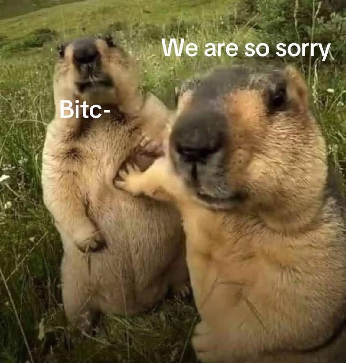 Two friends Blank Meme Template