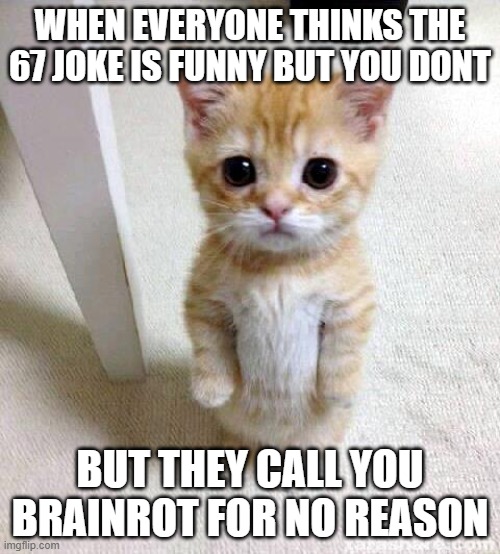 i swear they should all end themselves atp | WHEN EVERYONE THINKS THE 67 JOKE IS FUNNY BUT YOU DONT; BUT THEY CALL YOU BRAINROT FOR NO REASON | image tagged in memes,cute cat | made w/ Imgflip meme maker