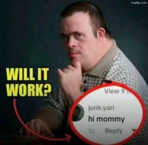 Will it work? | image tagged in will it work | made w/ Imgflip meme maker