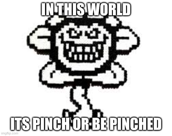 Flowey Smile | IN THIS WORLD ITS PINCH OR BE PINCHED | image tagged in flowey smile | made w/ Imgflip meme maker