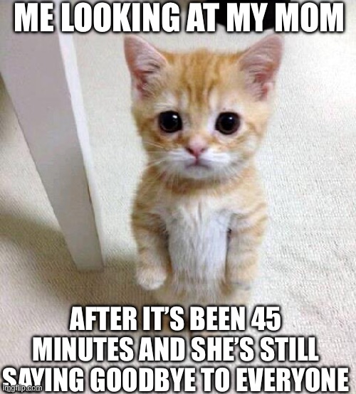 I need to SLEEP | ME LOOKING AT MY MOM; AFTER IT’S BEEN 45 MINUTES AND SHE’S STILL SAYING GOODBYE TO EVERYONE | image tagged in memes,cute cat | made w/ Imgflip meme maker