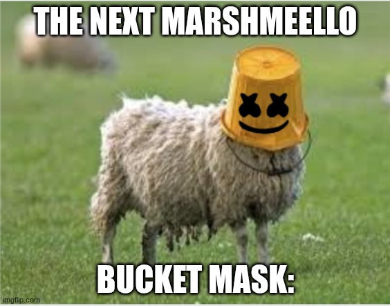 plz tell me this is funny <3 | THE NEXT MARSHMEELLO; BUCKET MASK: | image tagged in stupid sheep | made w/ Imgflip meme maker