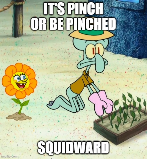 Flower SpunchBop | IT'S PINCH OR BE PINCHED SQUIDWARD | image tagged in flower spunchbop | made w/ Imgflip meme maker