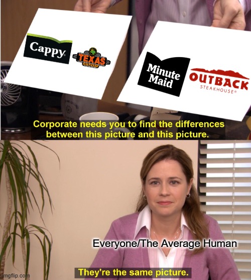 Buddy They Look Simlar Why Can We Just See It | Everyone/The Average Human | image tagged in memes,they're the same picture,true | made w/ Imgflip meme maker