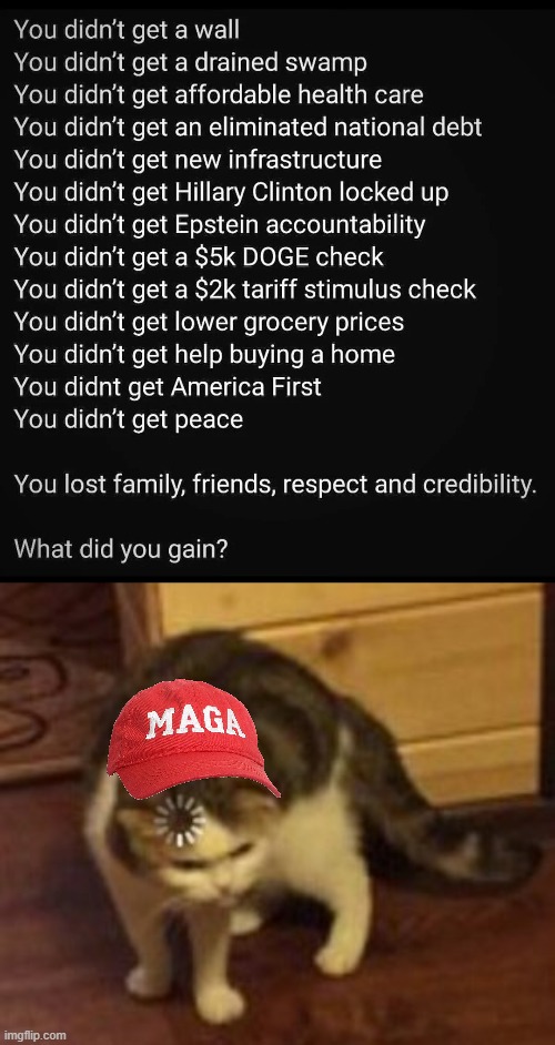 Trump's cult | image tagged in loading cat | made w/ Imgflip meme maker