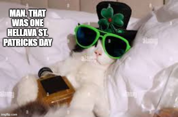Cat thinks that that was one hellava St. Patrick's Day. | MAN. THAT WAS ONE HELLAVA ST. PATRICKS DAY | image tagged in cat,kittens,funny,humor,st patricks day,irish | made w/ Imgflip meme maker