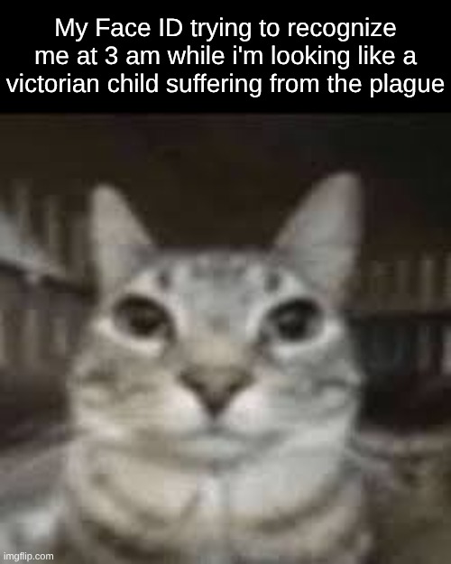 zazu | My Face ID trying to recognize me at 3 am while i'm looking like a victorian child suffering from the plague | image tagged in zazu | made w/ Imgflip meme maker