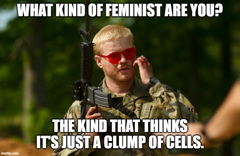 WHAT KIND OF FEMINIST ARE YOU? THE KIND THAT THINKS IT'S JUST A CLUMP OF CELLS. | made w/ Imgflip meme maker