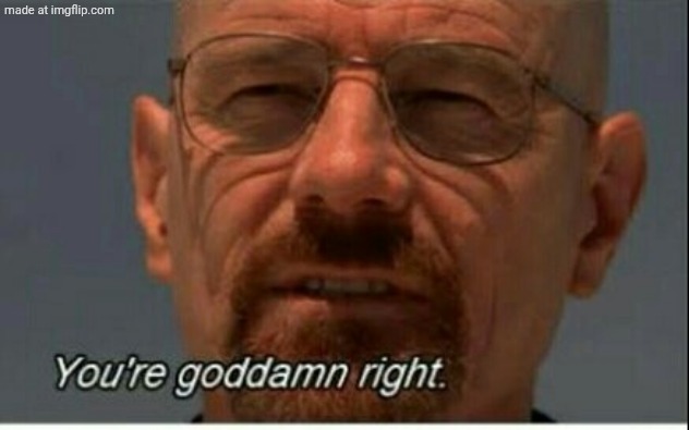 You're dam right | image tagged in you're dam right | made w/ Imgflip meme maker