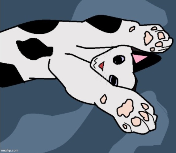 No i didn't forget to post here for 5 weeks, who put that sily idea in your heads? | made w/ Imgflip meme maker