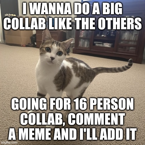 CMON GUYS WE CAN DO IT!!! if we can get more than 16 that would be even better! | I WANNA DO A BIG COLLAB LIKE THE OTHERS; GOING FOR 16 PERSON COLLAB, COMMENT A MEME AND I'LL ADD IT | image tagged in memes,collab,funny memes,join the collab,meme,lol | made w/ Imgflip meme maker