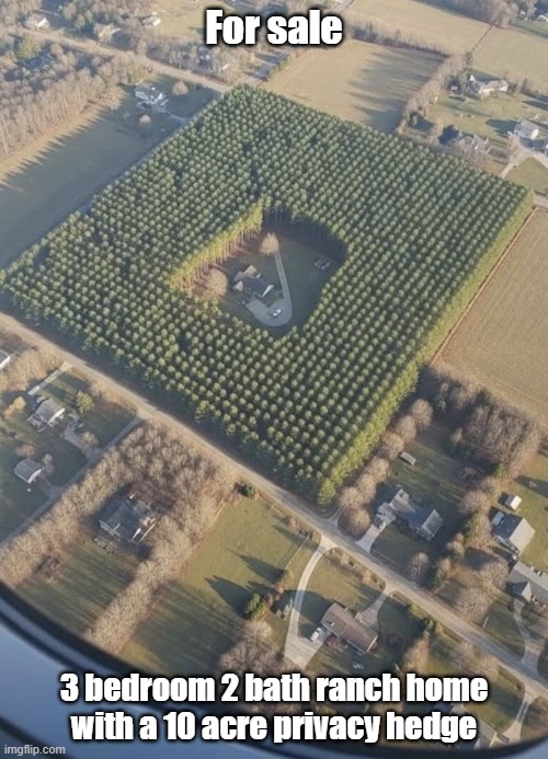 For Sale | For sale; 3 bedroom 2 bath ranch home with a 10 acre privacy hedge | image tagged in house,leave me alone,hedge,alone | made w/ Imgflip meme maker