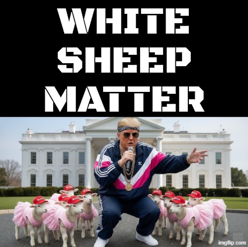 WHITE SHEEP MATTER | image tagged in white,white woman,white house,white people,snow white,memes | made w/ Imgflip meme maker