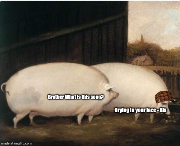 AfX MeMe #1 | Brother What is this song? Crying in your face - Afx | image tagged in brother oat | made w/ Imgflip meme maker