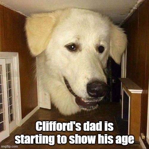Cliffords Dad | Clifford's dad is starting to show his age | image tagged in big dog,childhood,old,big red | made w/ Imgflip meme maker