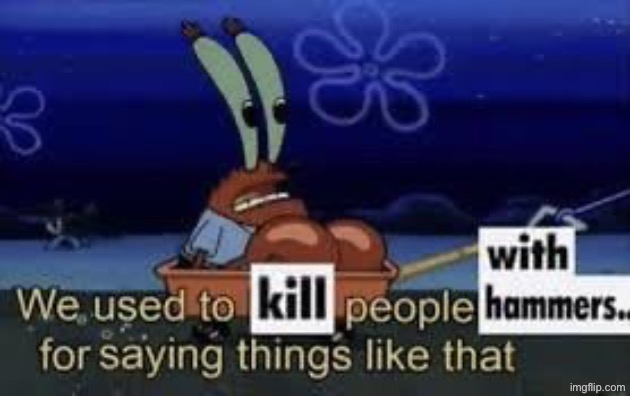 We used to kill people with hammers for saying things like that | image tagged in we used to kill people with hammers for saying things like that | made w/ Imgflip meme maker