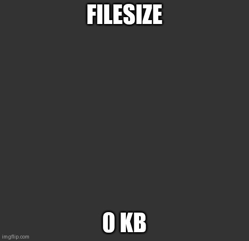 Blank template | FILESIZE; 0 KB | image tagged in blank template | made w/ Imgflip meme maker