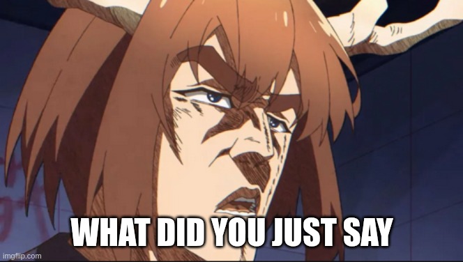 nani nokotan | WHAT DID YOU JUST SAY | image tagged in nani nokotan | made w/ Imgflip meme maker