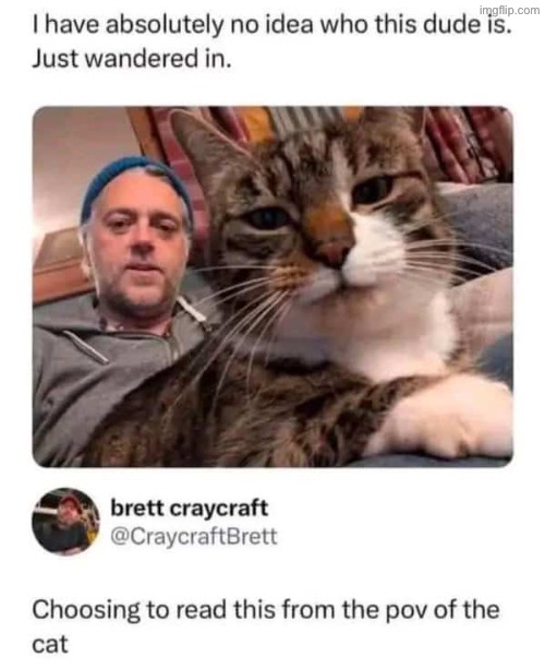 Yeah Me Too | image tagged in cats,funny cats,pov,owned,funny memes,evil overlord rules | made w/ Imgflip meme maker