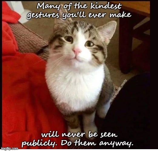 Kindness | Many of the kindest gestures you'll ever make; will never be seen publicly. Do them anyway. | image tagged in cats | made w/ Imgflip meme maker