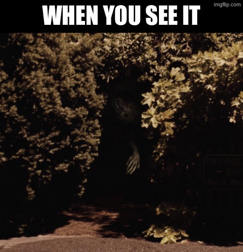 When You See It | WHEN YOU SEE IT | image tagged in horror,creepy guy,cursed images,when you see it,oh hell no,what a terrible day to have eyes | made w/ Imgflip meme maker