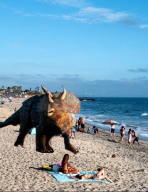 Triceratops in beach | image tagged in beach,triceratops,dinosaur | made w/ Imgflip meme maker