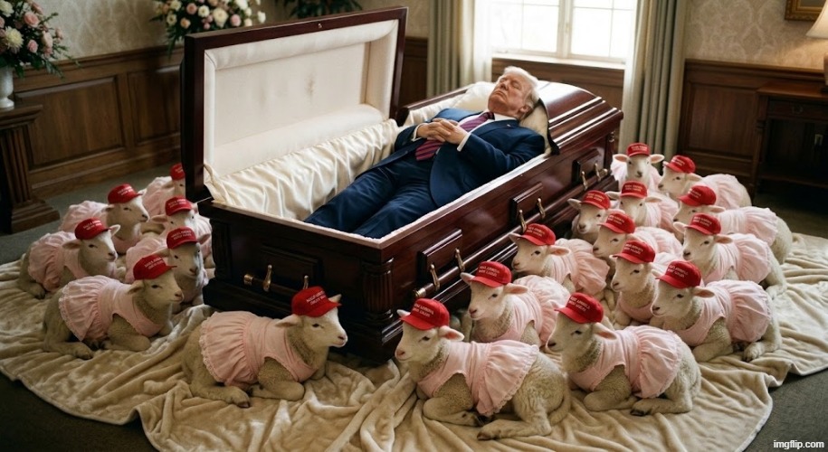 CASKET | image tagged in gravestone,death,dead,the walking dead,donald trump,memes | made w/ Imgflip meme maker