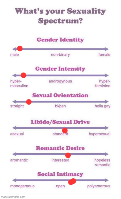 What's your sexuality spectrum? | image tagged in what's your sexuality spectrum | made w/ Imgflip meme maker