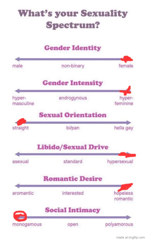 is this good or sum | image tagged in what's your sexuality spectrum | made w/ Imgflip meme maker