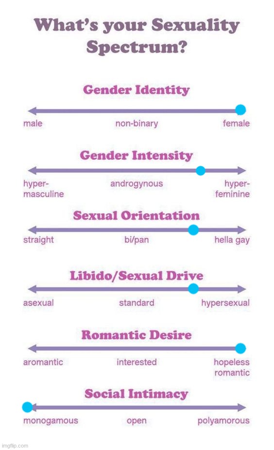 What's your sexuality spectrum? | image tagged in what's your sexuality spectrum | made w/ Imgflip meme maker