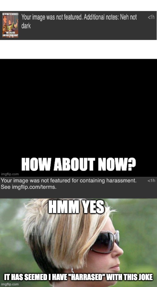HMM YES; IT HAS SEEMED I HAVE "HARRASED" WITH THIS JOKE | image tagged in karen | made w/ Imgflip meme maker