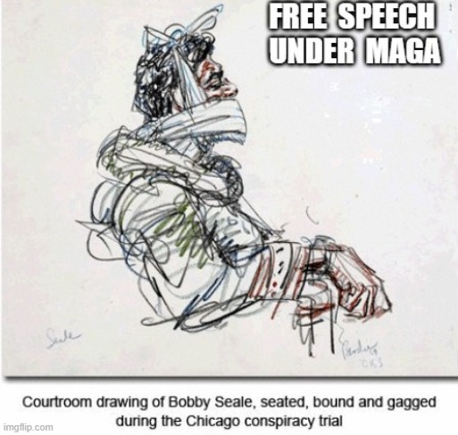 First Amendment Rights | image tagged in stop reading the tags | made w/ Imgflip meme maker