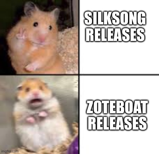 Bretta would be an interesting final boss tho | SILKSONG RELEASES; ZOTEBOAT RELEASES | image tagged in scared hamster | made w/ Imgflip meme maker