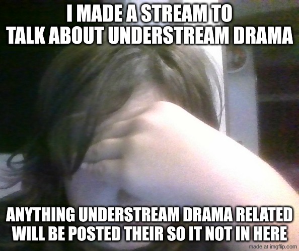 ur welcome | I MADE A STREAM TO TALK ABOUT UNDERSTREAM DRAMA; ANYTHING UNDERSTREAM DRAMA RELATED WILL BE POSTED THEIR SO IT NOT IN HERE | image tagged in disappointed | made w/ Imgflip meme maker