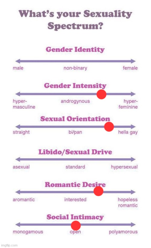 What's your sexuality spectrum? | image tagged in what's your sexuality spectrum | made w/ Imgflip meme maker