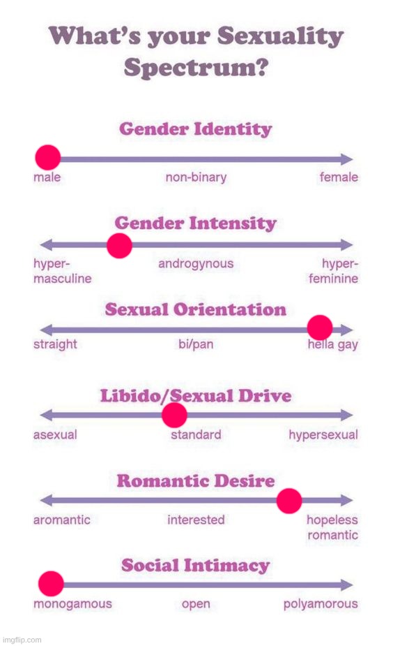 great, more hivemind bs | image tagged in what's your sexuality spectrum | made w/ Imgflip meme maker