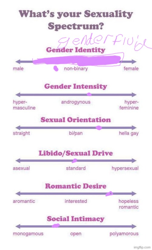 What's your sexuality spectrum? | image tagged in what's your sexuality spectrum | made w/ Imgflip meme maker