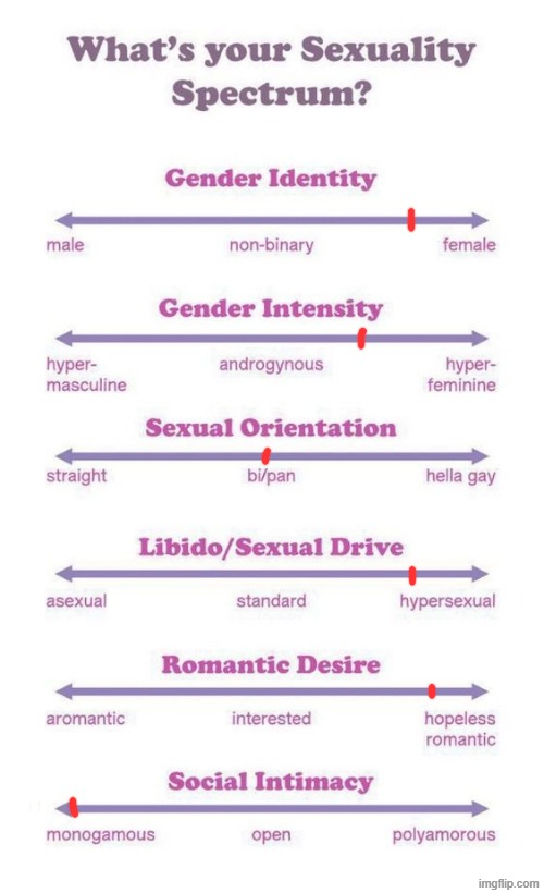 so called "free thinkers" when there's a new shitty trend in msmg | image tagged in what's your sexuality spectrum | made w/ Imgflip meme maker