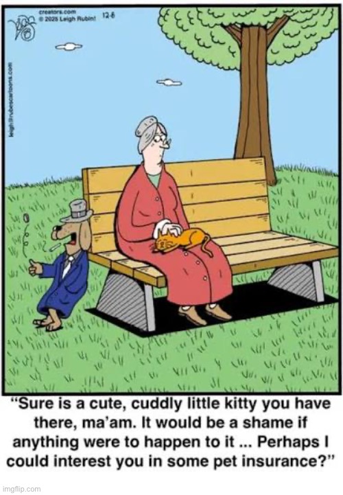 Rubes | image tagged in comics,rubes,old lady,dog,cat,extortion | made w/ Imgflip meme maker