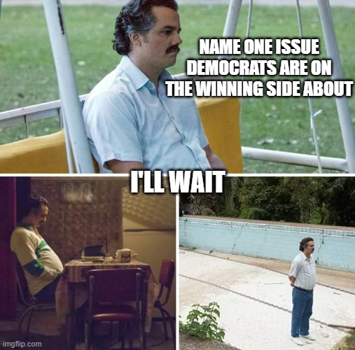 Sad Pablo Escobar | NAME ONE ISSUE DEMOCRATS ARE ON THE WINNING SIDE ABOUT; I'LL WAIT | image tagged in memes,sad pablo escobar | made w/ Imgflip meme maker