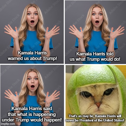 Kamala WHO? | Kamala Harris told us what Trump would do! Kamala Harris warned us about Trump! Kamala Harris said that what is happening under Trump would happen! That's as may be, Kamala Harris will never be President of the United States! | image tagged in kamala harris,democratic party loser,cat with lime helmet,i hate donald trump,trump sucks | made w/ Imgflip meme maker