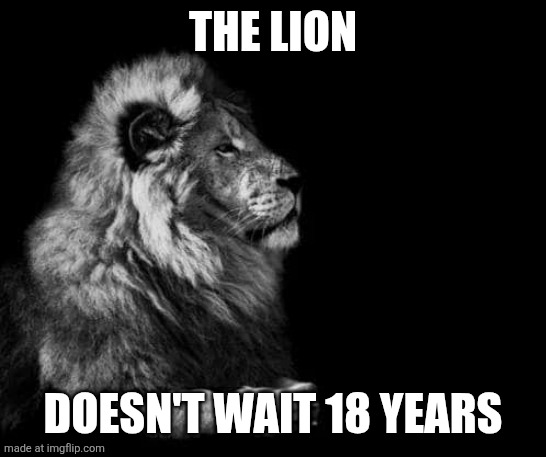 the lion.. | THE LION; DOESN'T WAIT 18 YEARS | image tagged in the lion | made w/ Imgflip meme maker
