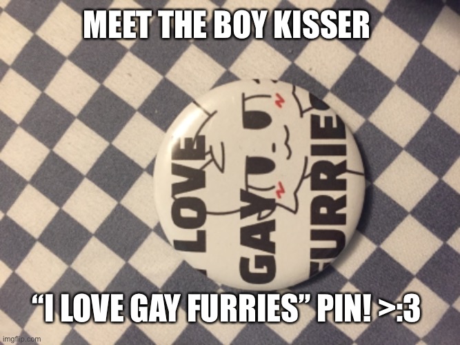 Chat, here it is! The moment you’ve been waiting for! | MEET THE BOY KISSER; “I LOVE GAY FURRIES” PIN! >:3 | made w/ Imgflip meme maker