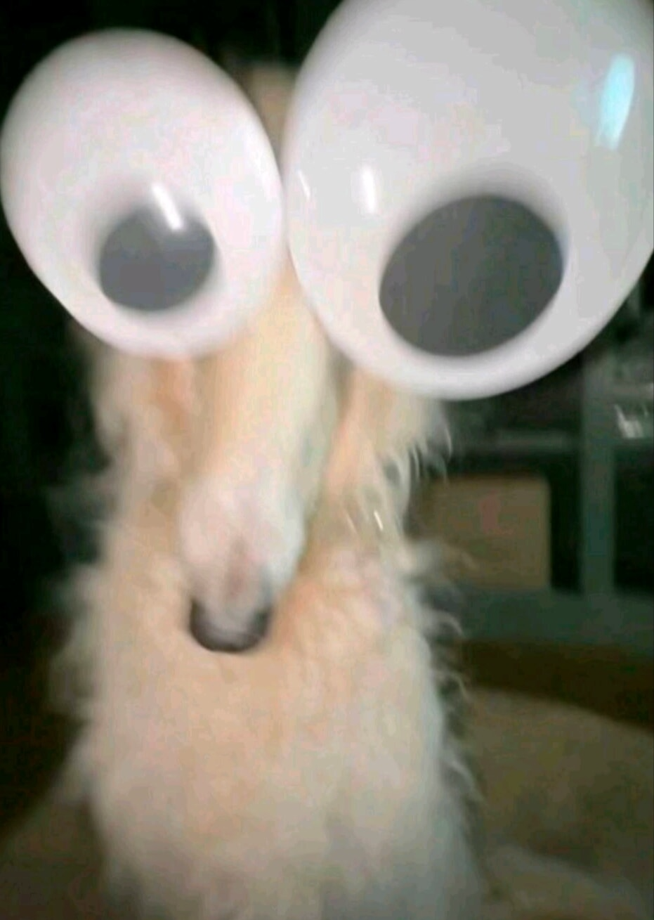 Google eye Borzoi Blank Meme Template
