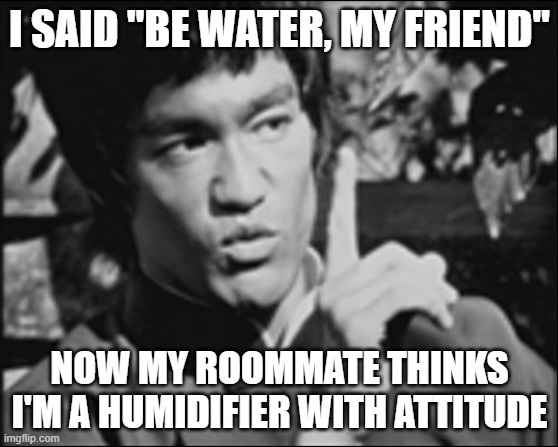 One Bruce Lee | I SAID "BE WATER, MY FRIEND"; NOW MY ROOMMATE THINKS I'M A HUMIDIFIER WITH ATTITUDE | image tagged in one bruce lee | made w/ Imgflip meme maker