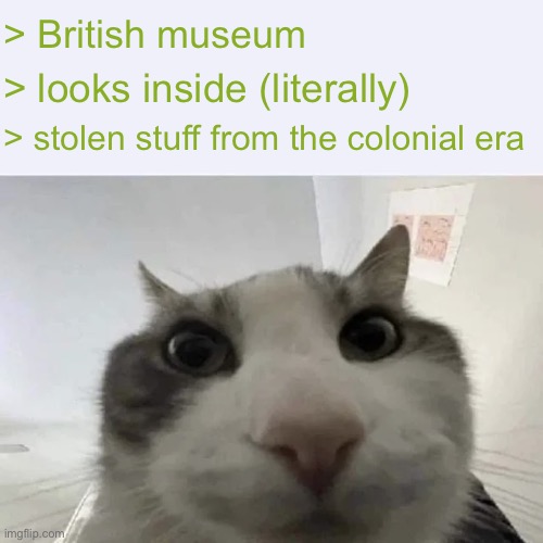 green text cat | > British museum; > looks inside (literally); > stolen stuff from the colonial era | image tagged in green text cat | made w/ Imgflip meme maker