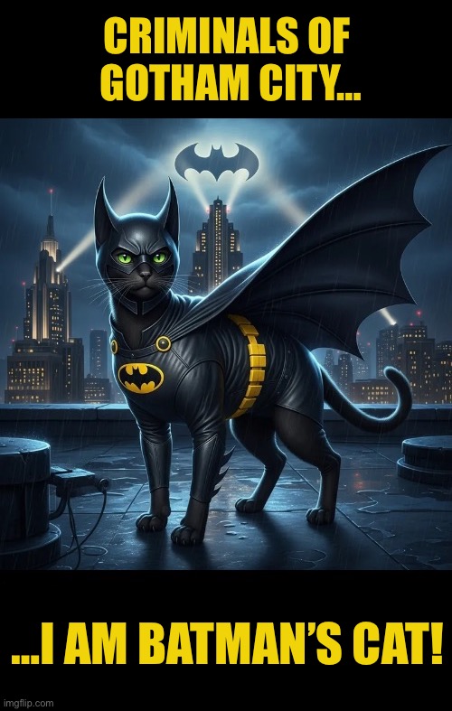 The Dark Knight’s Cat strikes! | CRIMINALS OF 
GOTHAM CITY…; …I AM BATMAN’S CAT! | image tagged in batman,cat,criminals,gotham city,fear,dark knight | made w/ Imgflip meme maker