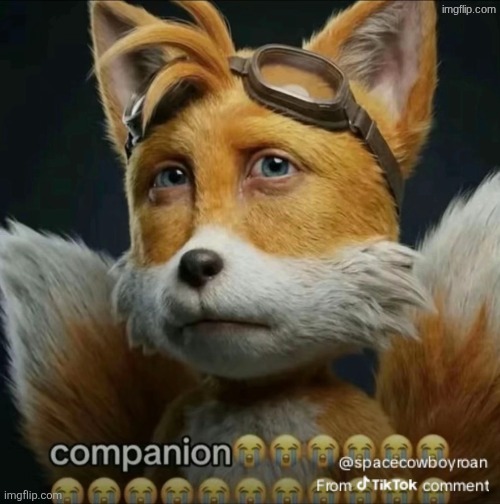 Companion | image tagged in companion | made w/ Imgflip meme maker