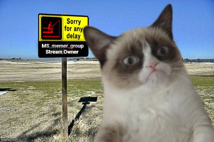 Grumpy Cat imgflip | MS_memer_group
Stream Owner | image tagged in grumpy cat imgflip | made w/ Imgflip meme maker