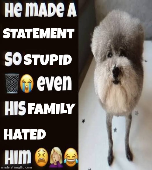 Bro get out | STATEMENT; STUPID; FAMILY; HATED | image tagged in he made a statement so trash | made w/ Imgflip meme maker